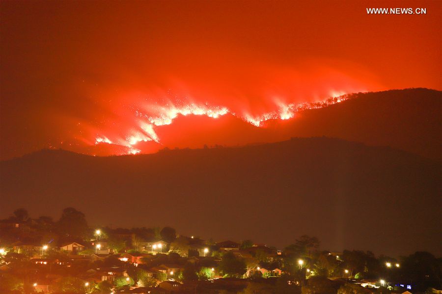 В Австралийской столичной территории объявлено чрезвычайное положение в связи с риском лесных пожаров