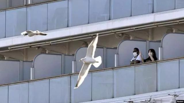 Еще у 66 человек на борту круизного судна в Японии подтвержден новый коронавирус 