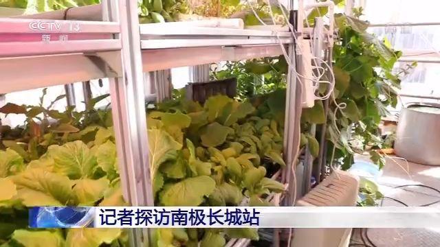 Посещение китайской антарктической станции “Великая стена”