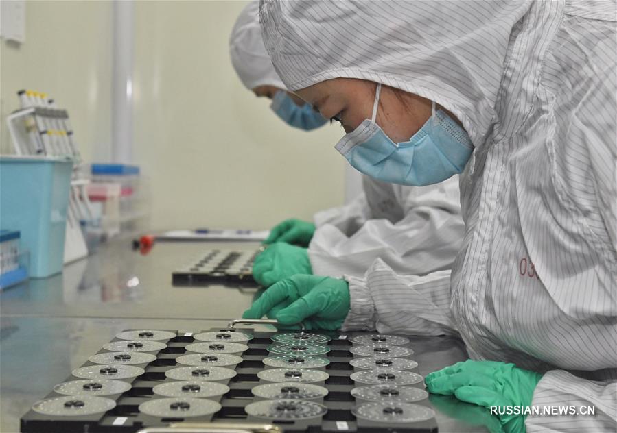 Борьба со вспышкой коронавирусной инфекции -- Новая разработка китайских ученых позволяет за 1,5 часа определить сразу шесть видов вирусов, вызывающих респираторные заболевания