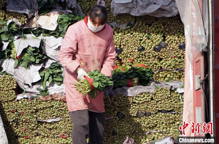 В пров. Ганьсу Китая отмечен рост торговли сельскохозяйственной продукцией