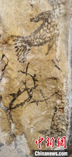 В провинции Сычуань Китая обнаружены окаменелость и древние таинственные петроглифы
