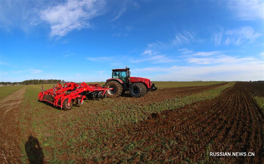 Белорусские аграрии приступили к весенним полевым работам