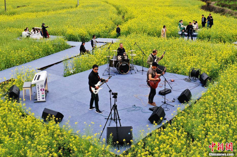 В уезде Уюань в Китае состоялся «концерт на цветочном поле»