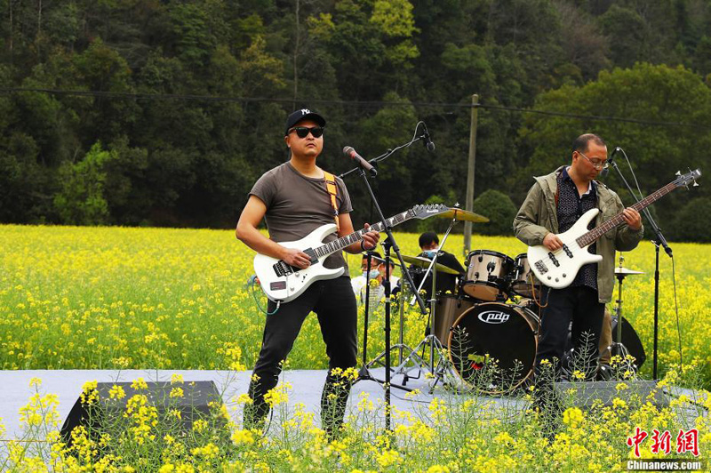 В уезде Уюань в Китае состоялся «концерт на цветочном поле»