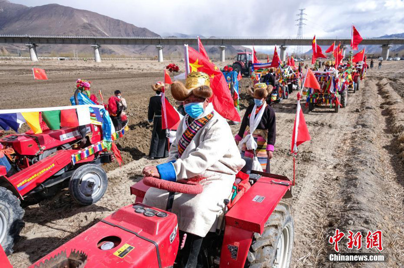 В Тибете прошла традиционная церемония весенней вспашки