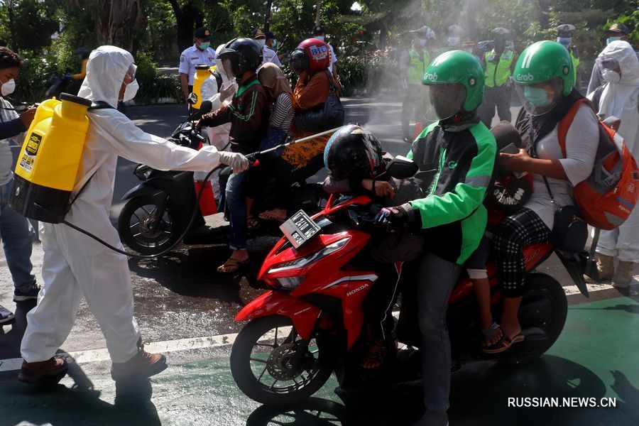 Число случаев заражения COVID-19 в Индонезии превысило 500