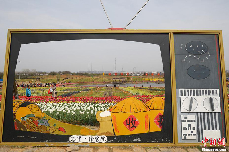 Пышное весеннее цветение в деревне Сюйцзяюань Нанкина