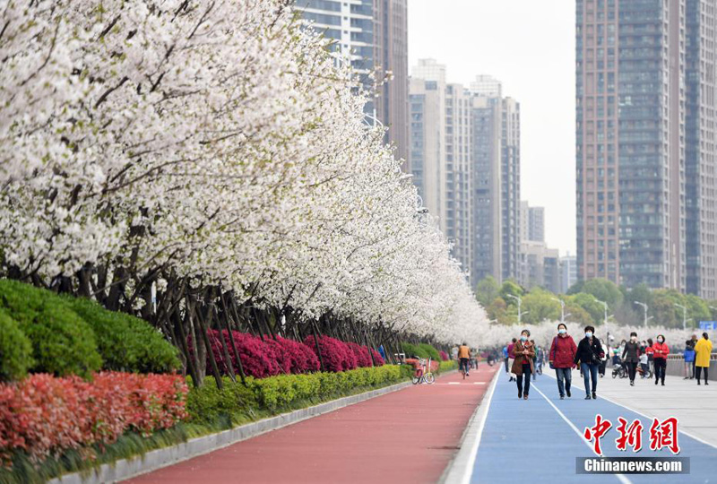 Самая красивая дороги для пробежек в городе Ханчжоу