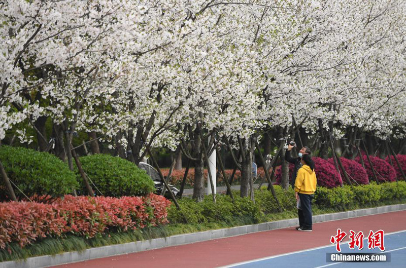 Самая красивая дороги для пробежек в городе Ханчжоу