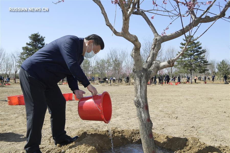 Партийные и государственные руководители Китая приняли участие в посадке деревьев