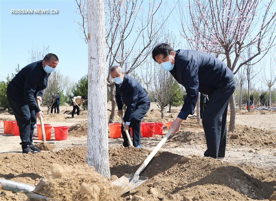 Партийные и государственные руководители Китая приняли участие в посадке деревьев