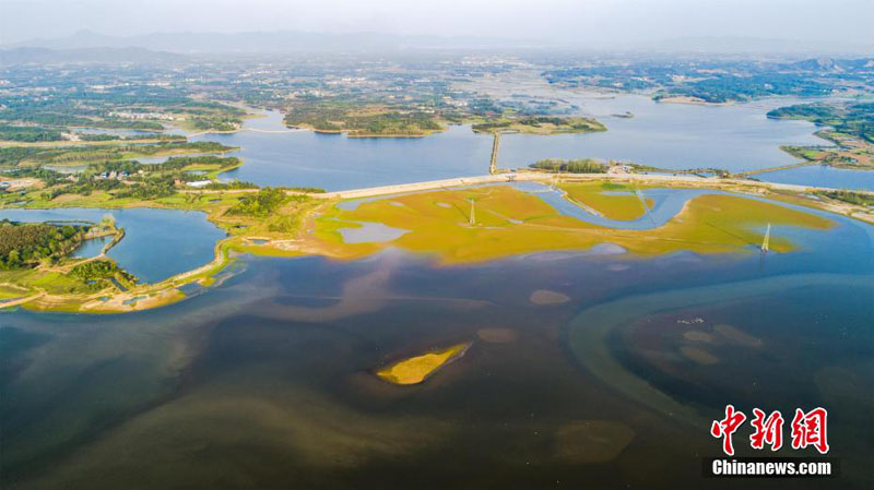 Озеро Поянху в провинции Цзянси – рай для перелетных птиц