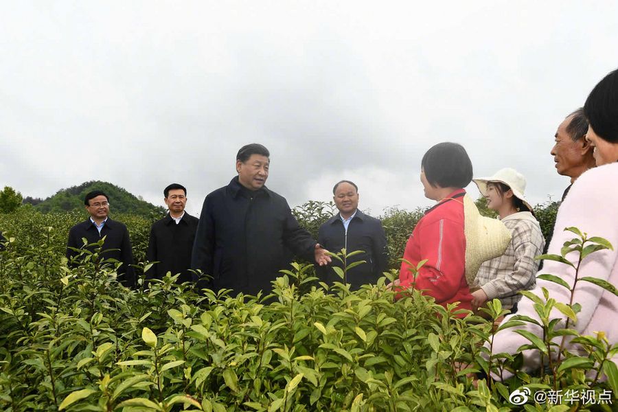 Си Цзиньпин проинспектировал работу по борьбе с бедностью на северо-западе Китая