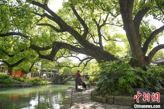 Национальный парк водно-болотных угодий Сиси города Ханчжоу на исходе весны