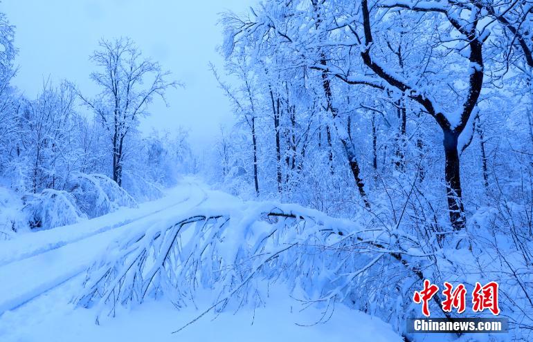 Пейзажи городка Жаохэ после майского снегопада