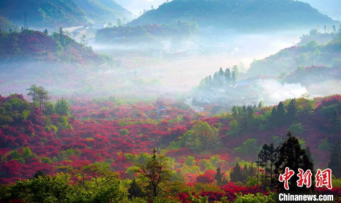 Красные клены в горах Сыминшань в китайском городе Нинбо