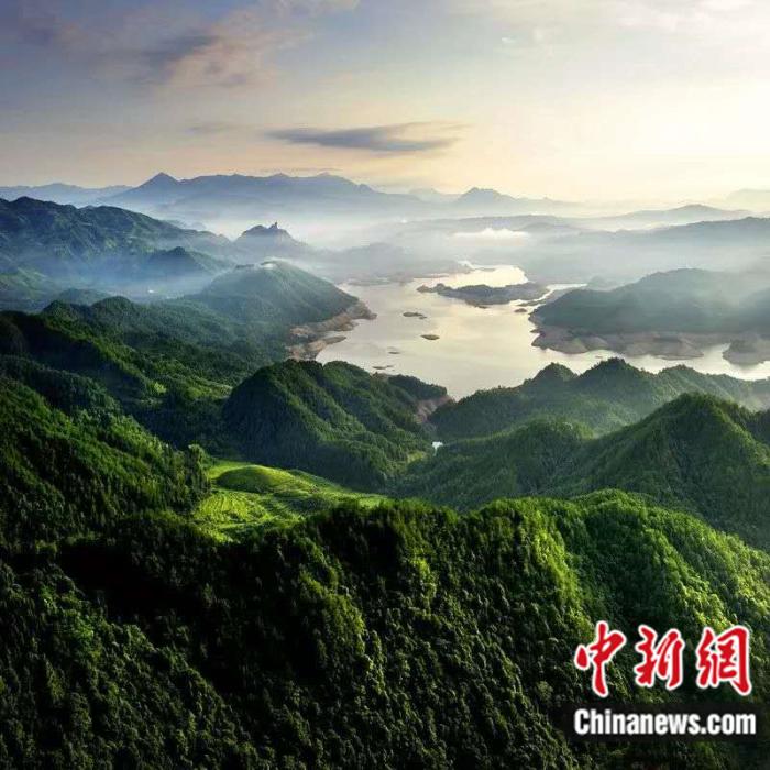 “Рай” для птиц существует в провинции Фуцзянь