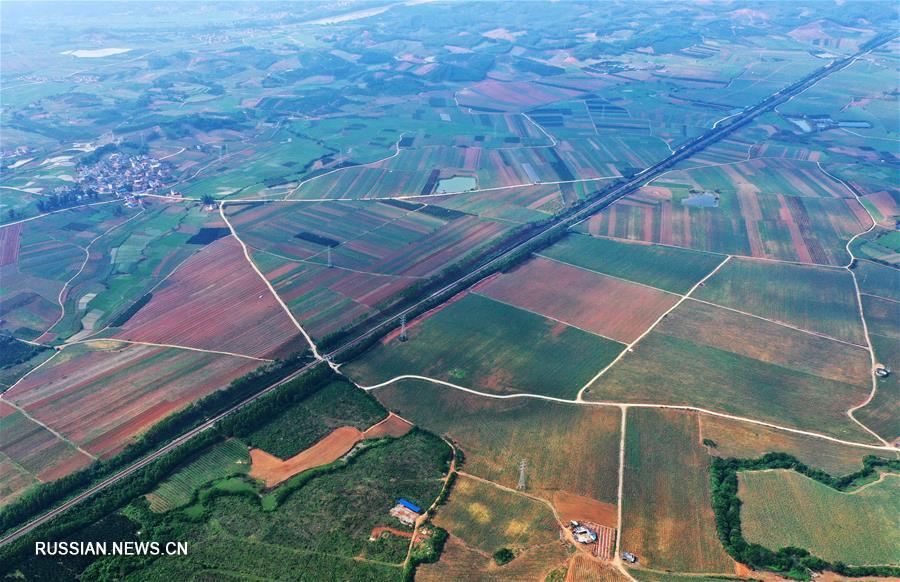 Развитие современного сельскохозяйственного производства в уезде Лучжай