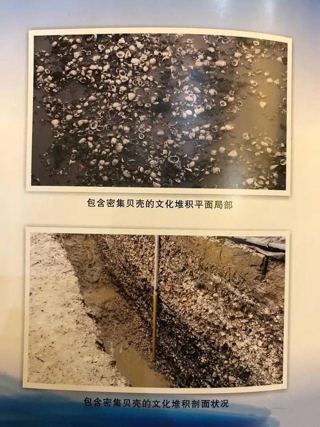 В провинции Чжэцзян обнаружен 8000-летний курган 