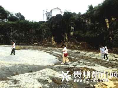 В провинции Гуйчжоу обнаружен ориктоценоз возрастом 440 млн. лет