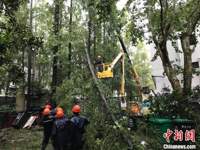 Тайфун "Хагупит" принес в Шанхай проливные дожди и вызвал подтопление некоторых городских районов