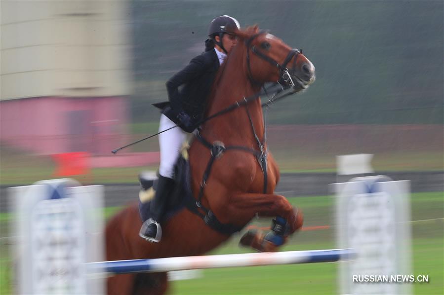 Международные соревнования по конному спорту прошли в Беларуси