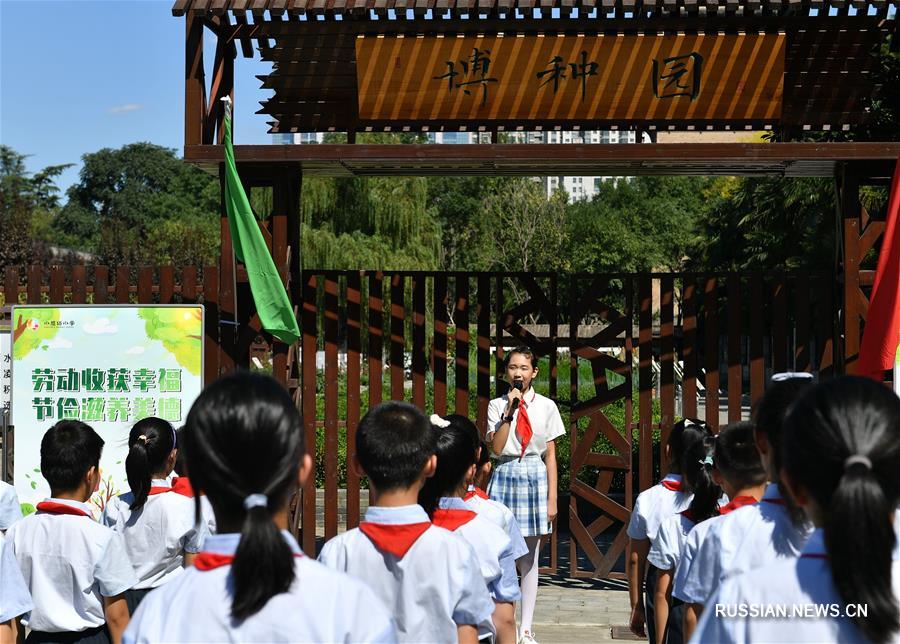 Работа на школьном огороде в одной из школ Сианя