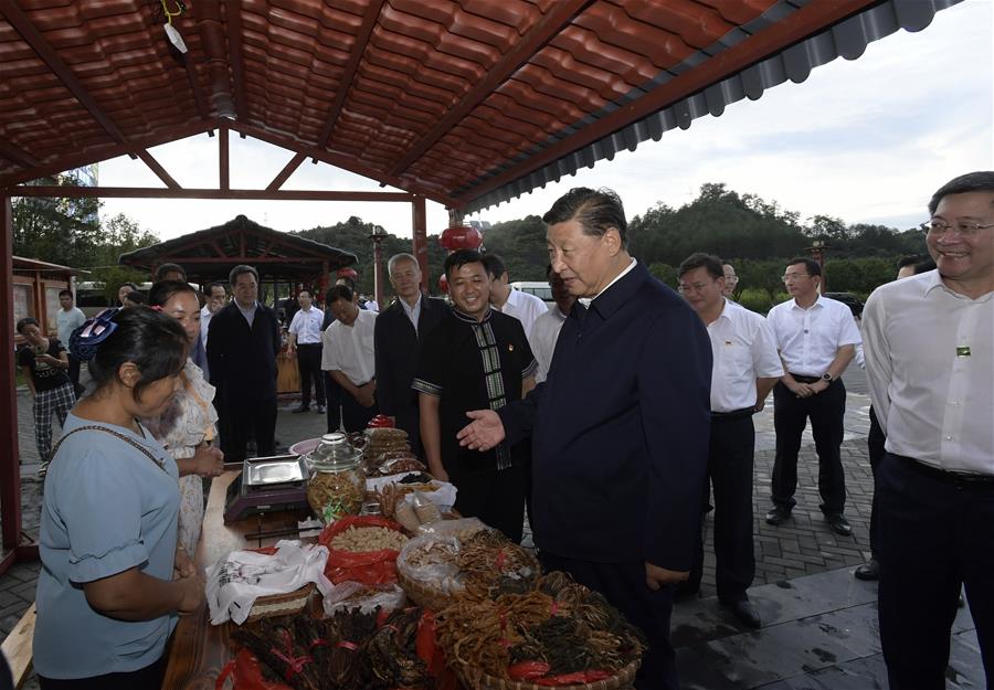 Си Цзиньпин прибыл с инспекцией в провинцию Хунань