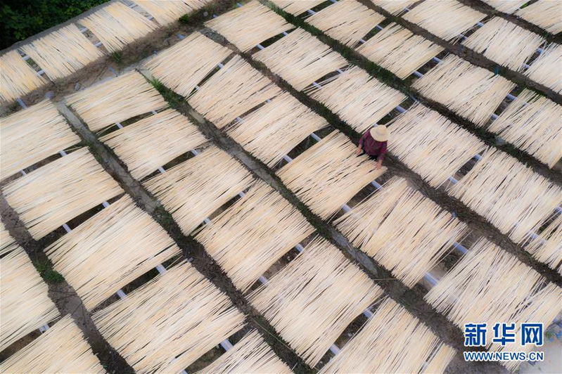 Обработка бамбука увеличивает доходы жителей уезда Чаннин в Китае