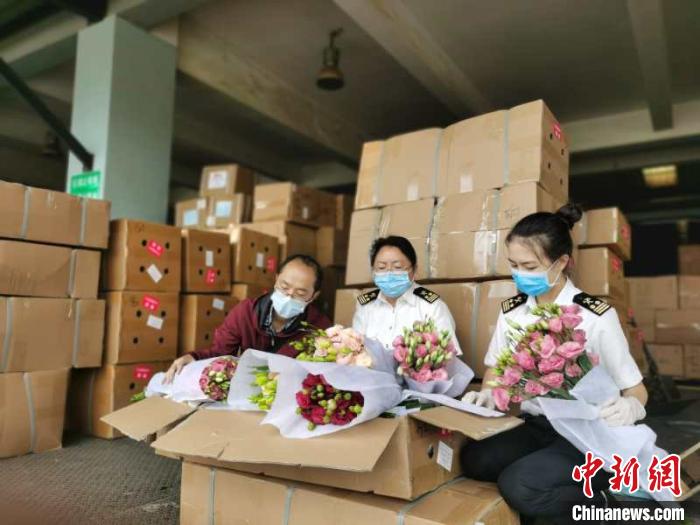 За 8 месяцев 2020 года объем экспорта свежесрезанных цветов из китайской провинции Юньнань составил 11 тыс. тонн