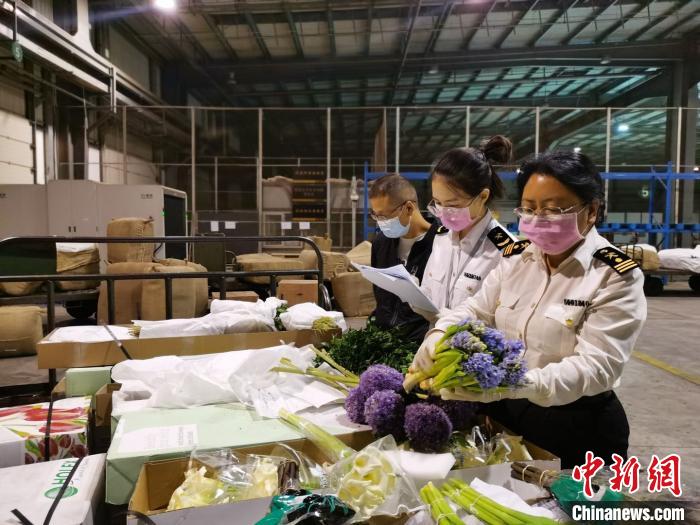 За 8 месяцев 2020 года объем экспорта свежесрезанных цветов из китайской провинции Юньнань составил 11 тыс. тонн