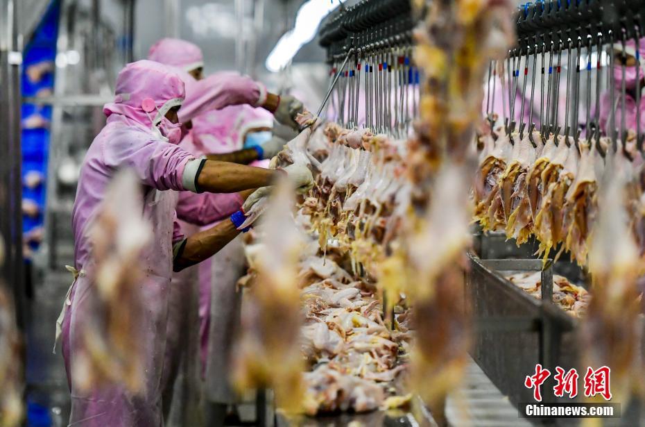 Крупное мясоперерабатывающее предприятие увеличило занятость в Синьцзяне
