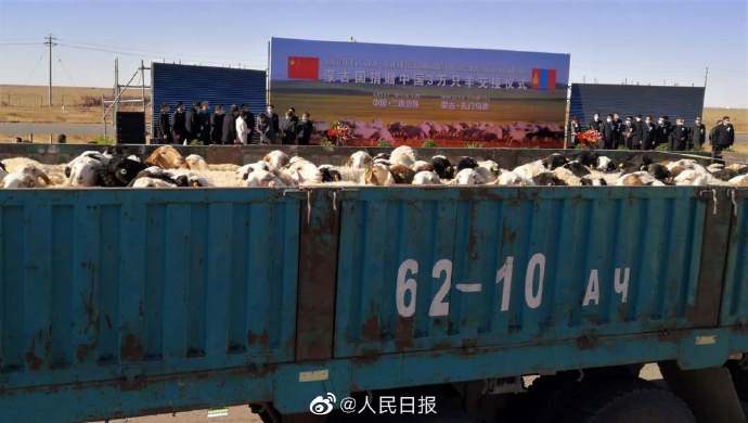 Монголия передала КНР первую партию гуманитарной помощи, состоящей из 4 тыс овец