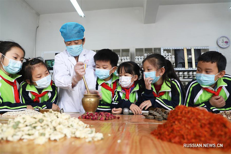 В школах Поднебесной прошли уроки по традиционной китайской медицине