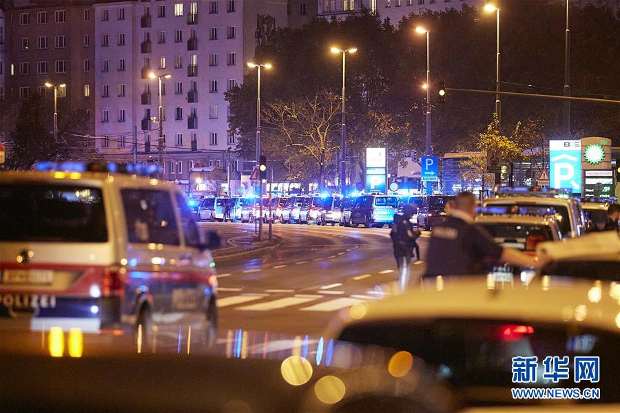 По меньшей мере два человека погибли в результате стрельбы в Вене