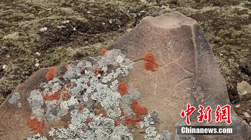 В китайской провинции Цинхай обнаружены древнюю наскальную рисунку