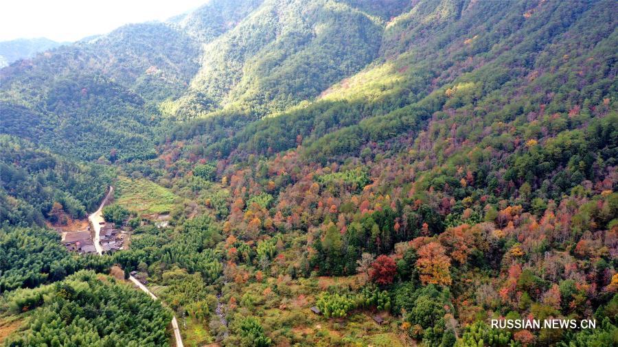 Волшебные пейзажи гор Лунцишань в провинции Фуцзянь