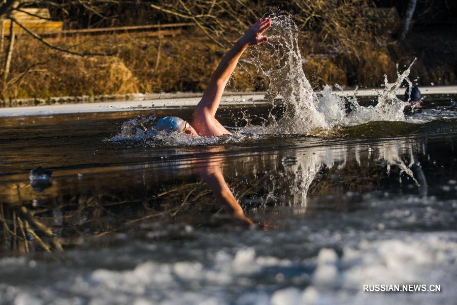 В Москве стартовал сезон зимнего плавания
