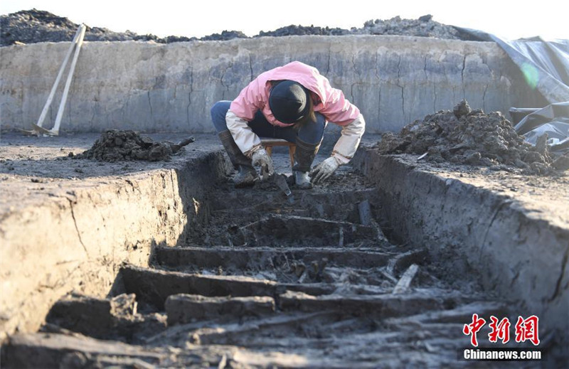На востоке Китая обнаружены древнейшие рисовые поля 6000-летней давности