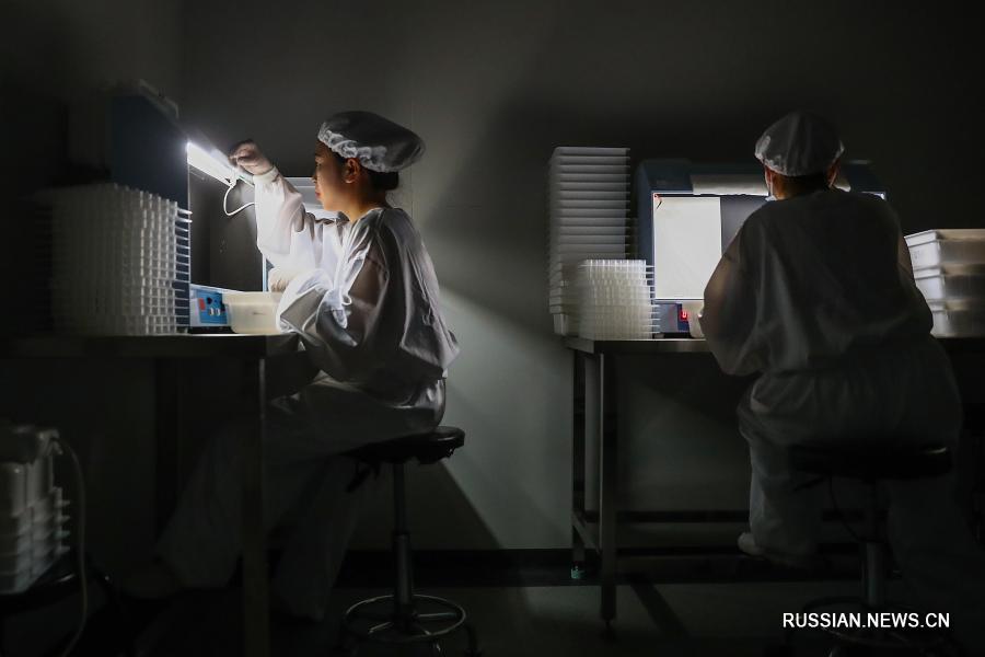 В Китае одобрена отечественная вакцина против COVID-19