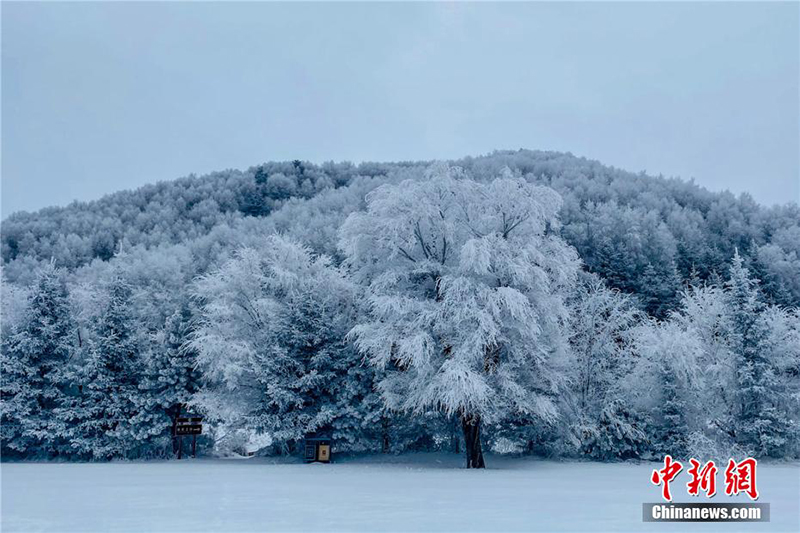 Белоснежный иней украсил геологический парк Северо-Западного Китая