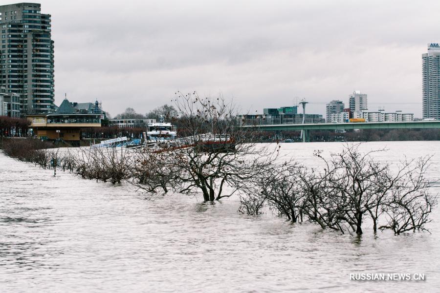 Осадки привели к повышению уровня воды в реке Рейн в немецком городе Кельн