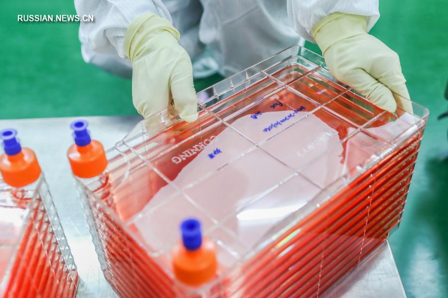 Вакцина Sinovac против COVID-19 получила условное разрешение на поставку на рынок в Китае