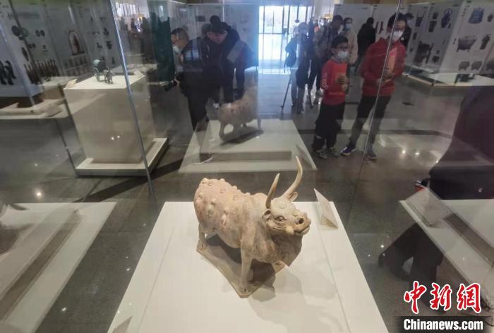 В Музее провинции Шаньси проходит выставка, посвященная наступающему году Быка