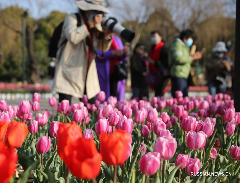 Цветы весны на юге Китая