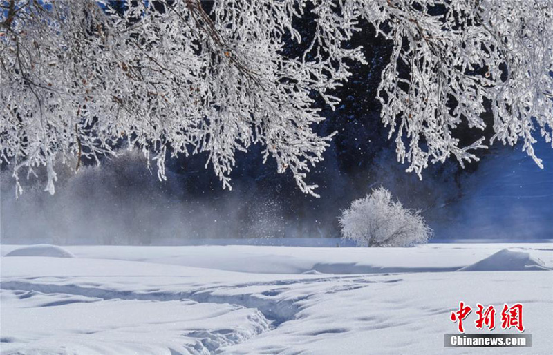 Национальный лесопарк в Синьцзяне выглядит сказочным под покровом снега