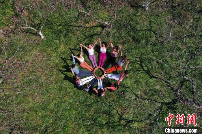 Йога под открытым небом в лесопарке Чжанцзяцзе