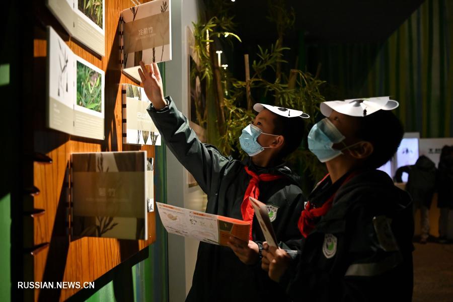 В Чэнду открылся первый в мире интерактивный тематический музей больших панд