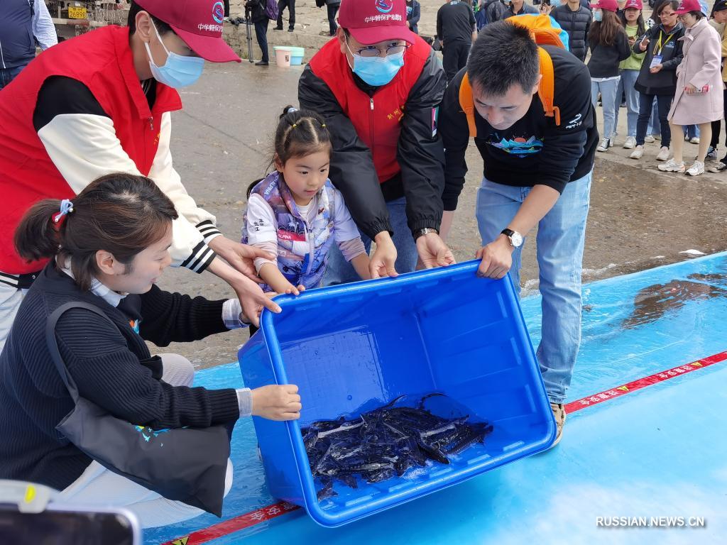 В реку Янцзы выпущено свыше 3 тыс. мальков китайского и корейского осетра